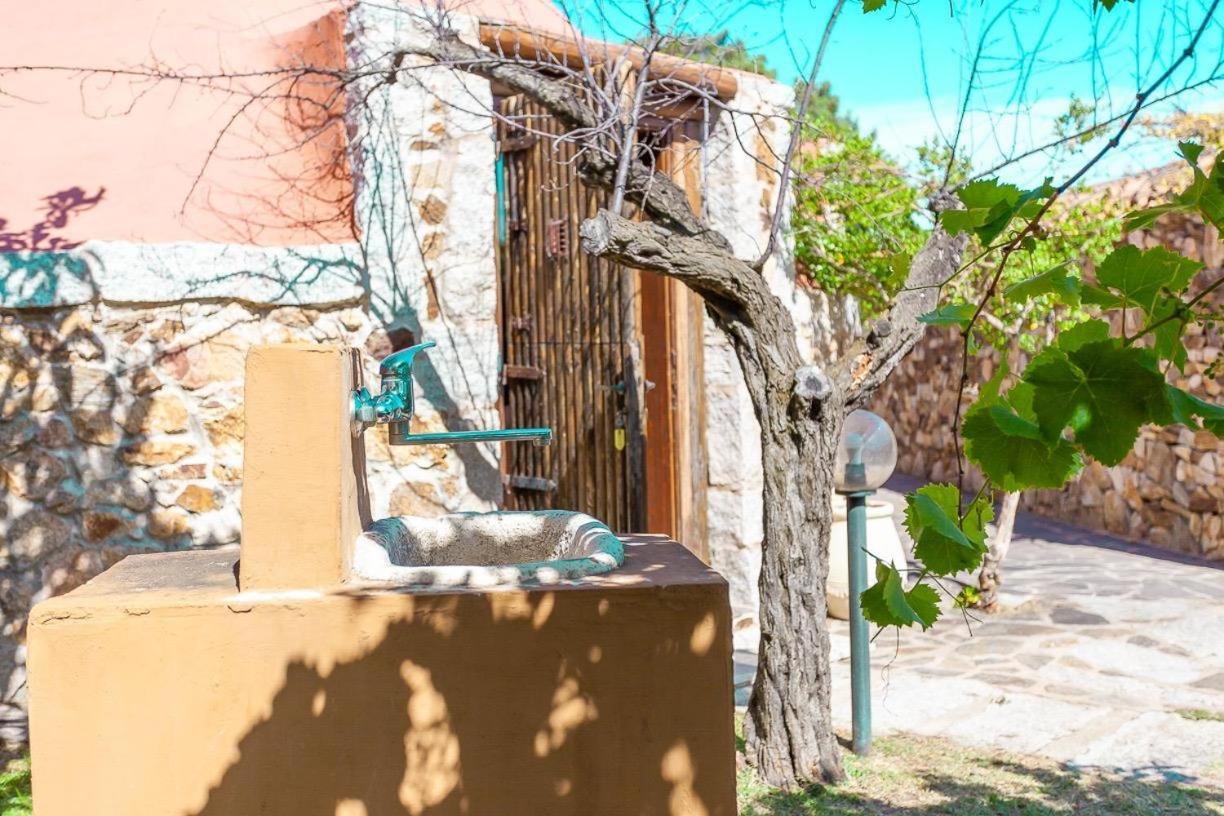 B&B Pettirosso Garden San Teodoro  Exterior foto