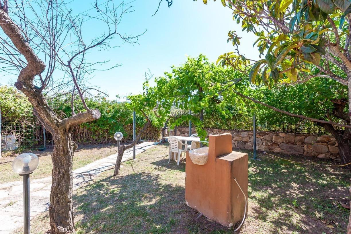B&B Pettirosso Garden San Teodoro  Exterior foto