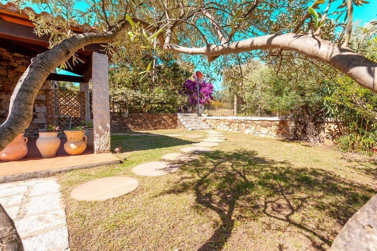 B&B Pettirosso Garden San Teodoro  Exterior foto